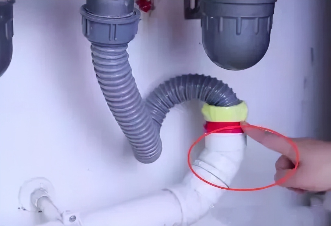 卫生间小飞虫的危害程度超乎你的想象,它究竟是啥?该如何消灭?