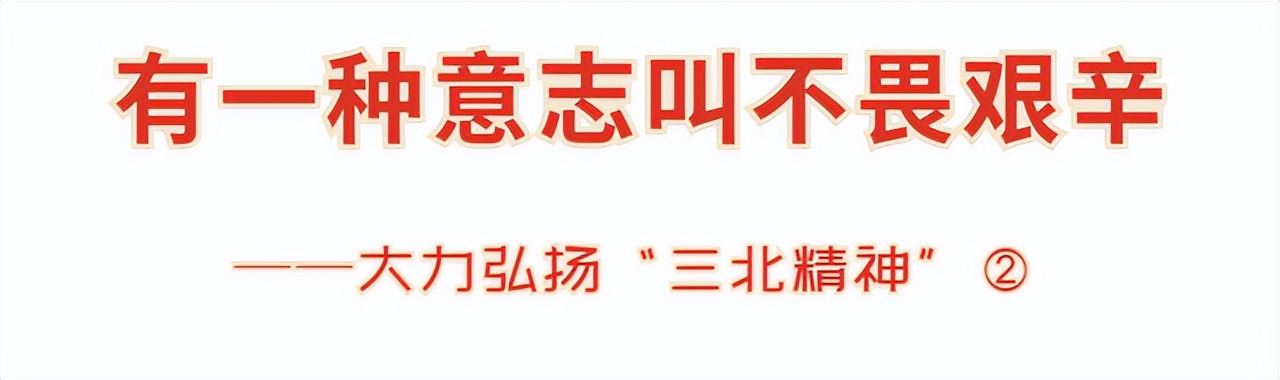 内蒙古三北精神,内蒙古三北攻坚战