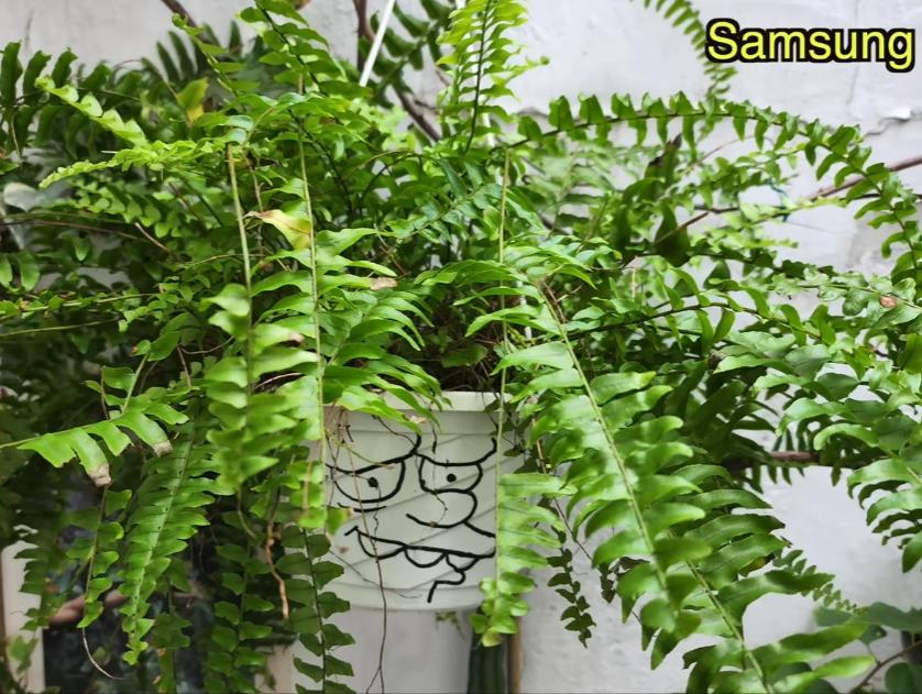 小米12sultra与vivox80pro拍照选哪款,小米12sultra和vivox80pro拍照选哪个