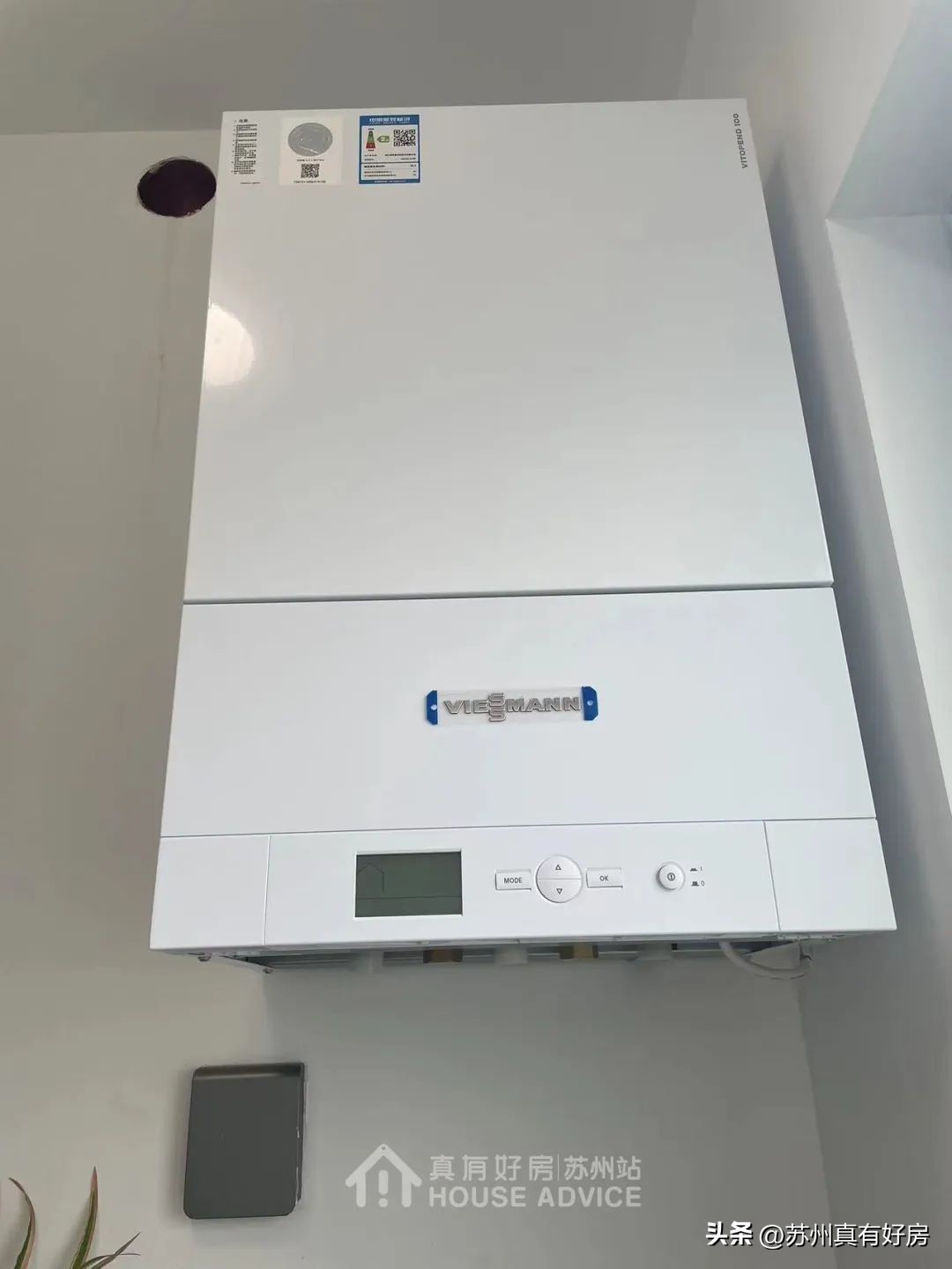 逢开必罄！中签率不超11%！实探神盘永旺西的真实面貌