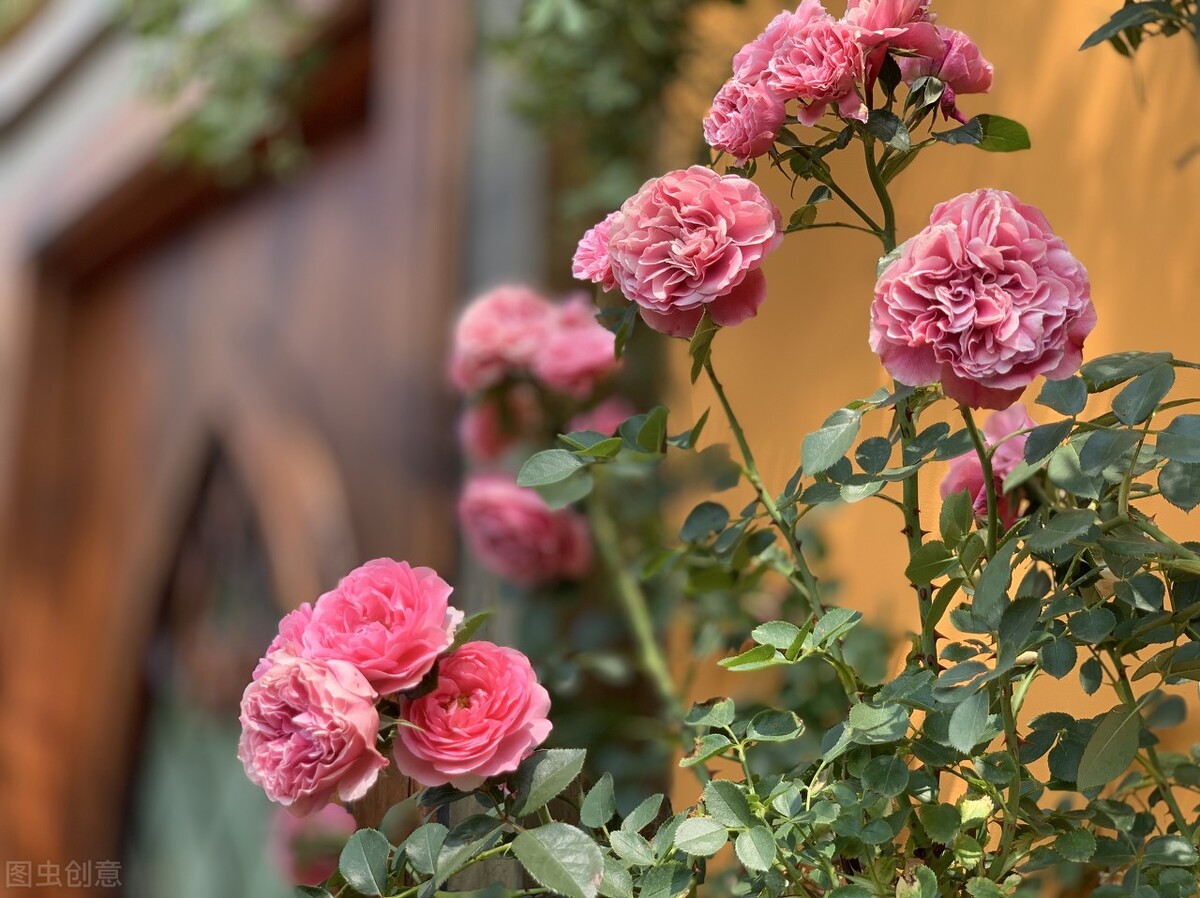 国内外大型石油化工项目,石油化学工程项目