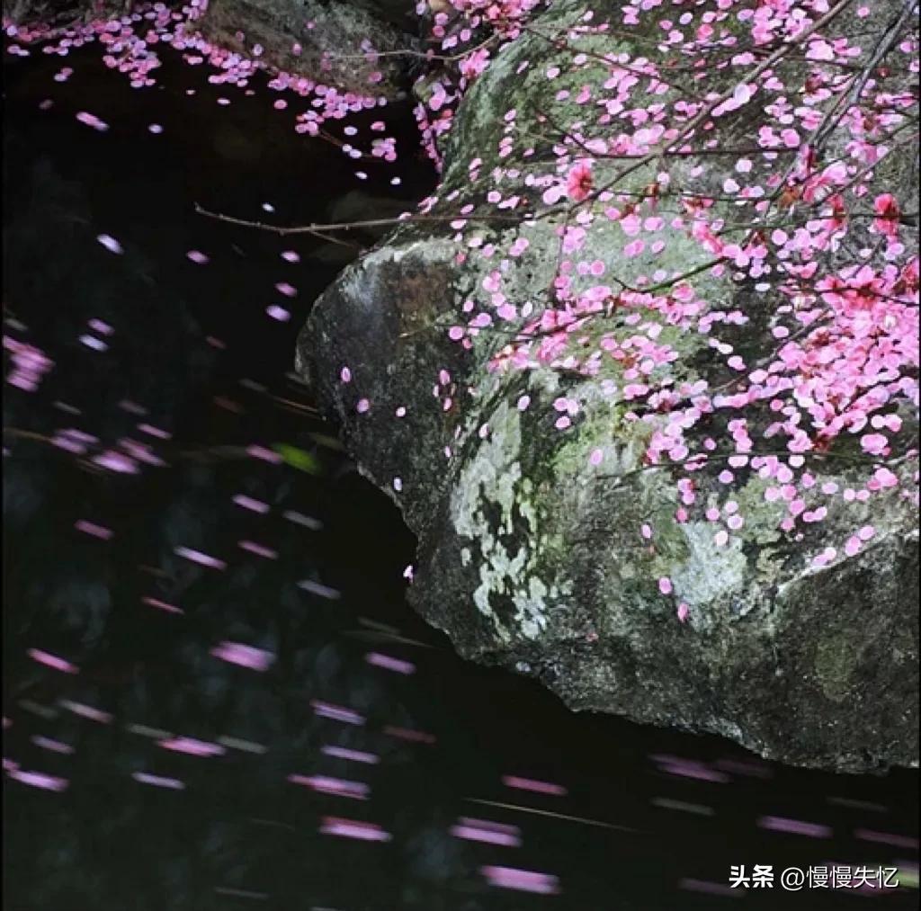 一首桃花诗词鉴赏,桃红柳绿鸟语花香春景古诗词