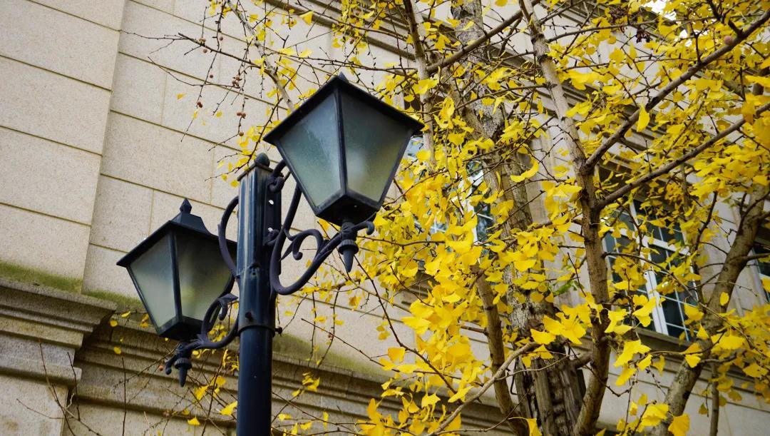 生茂丨走进西航，带你看四川最美校园