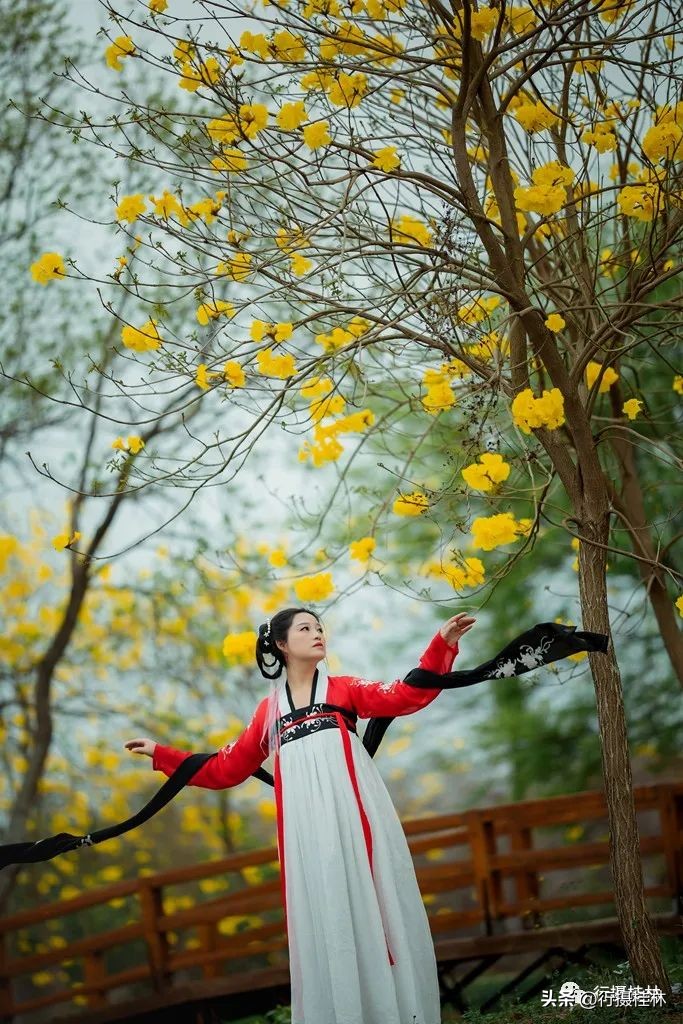 花仙子风铃,风铃花仙子