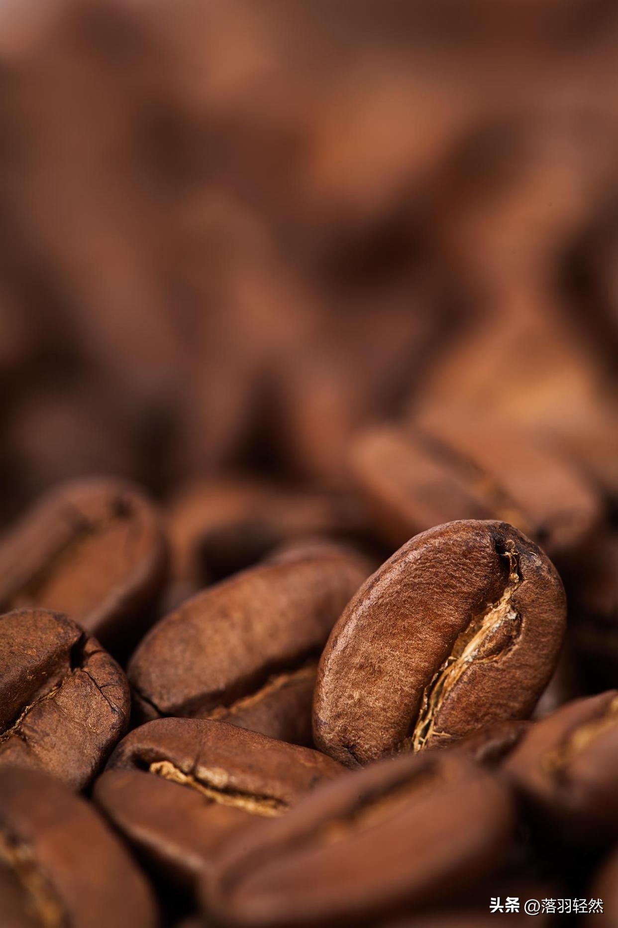 咖啡豆推荐意式咖啡顶级,什么牌子的咖啡豆最正宗好喝