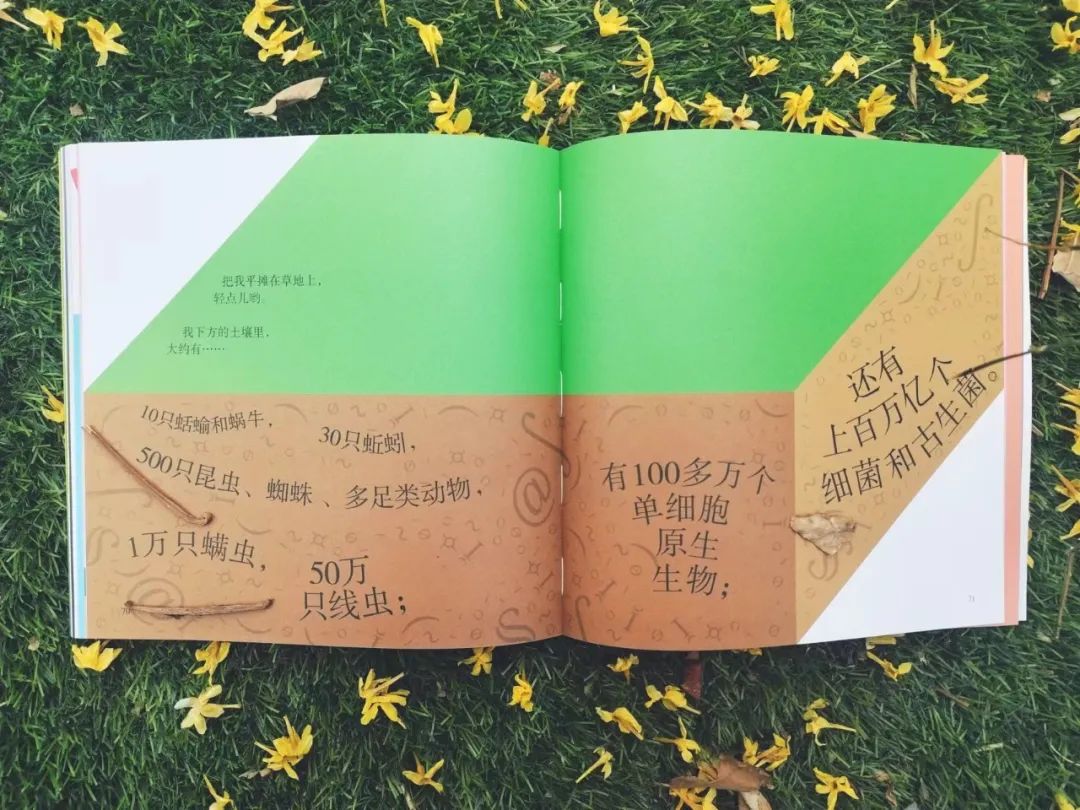 世界读书日推荐书籍一段话,世界读书日给孩子们推荐一本好书