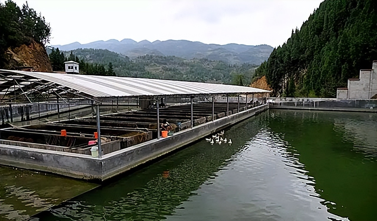 16年四川小伙去俄罗斯种土豆，不久后身家过亿，被西方企业使阴招