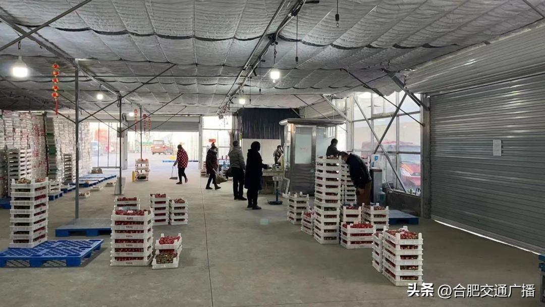 千斤草莓“卖出去”，长丰莓农悬着的心“放下来”