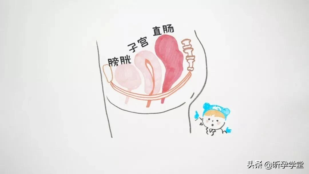 《女心理师》聚焦产后漏N问题,有多少妈妈还在忍受生娃后遗症