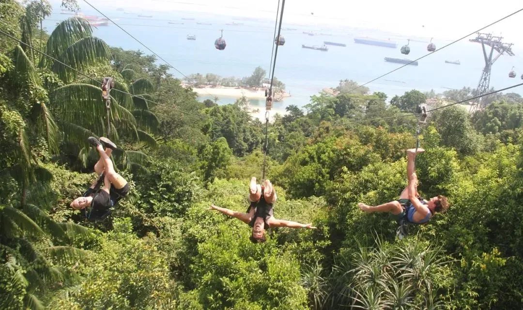 新加坡遛娃免费景点推荐一下,新加坡周末遛娃