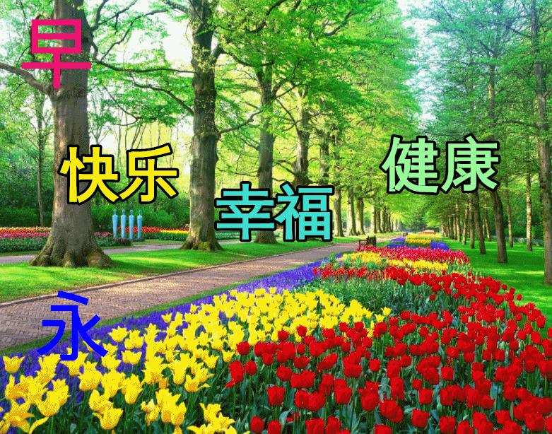 星期三早安创意早上好问候语图片,最新周五早上好问候语表情包