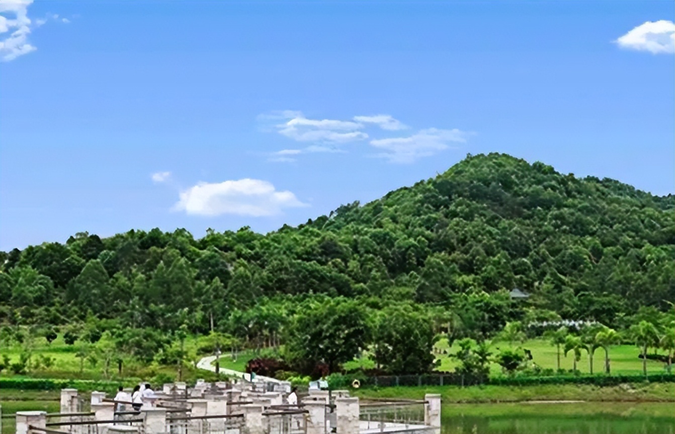 绿景南庄大亚湾,惠州绿景南庄有什么折扣