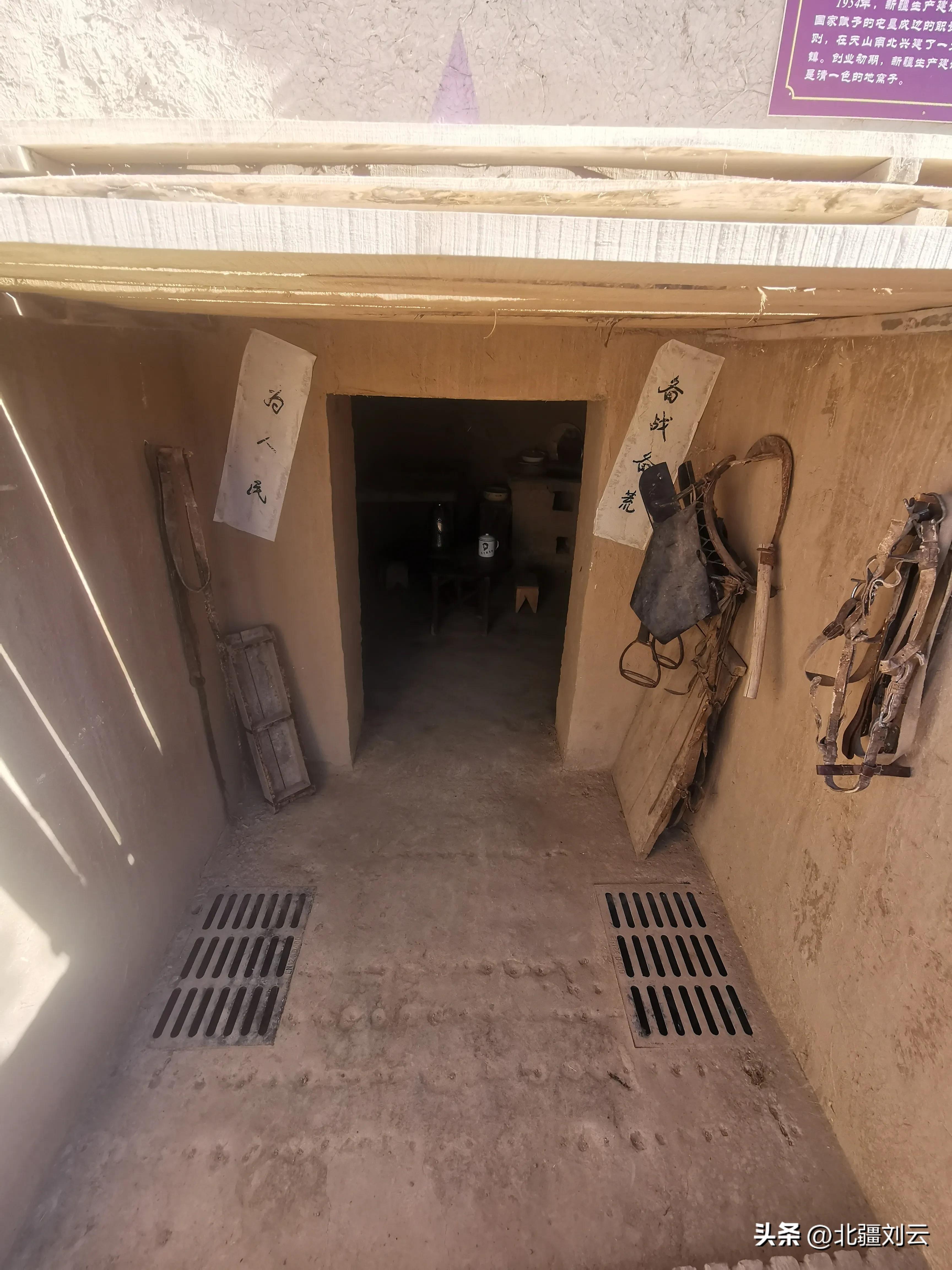 我在新疆摘棉花英文,我在新疆种棉花完整版