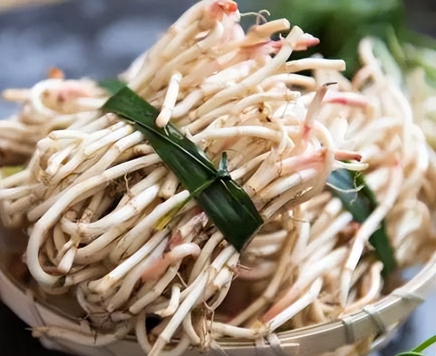 鱼腥草为什么要叫害人草,鱼腥草是害人草还是养生草