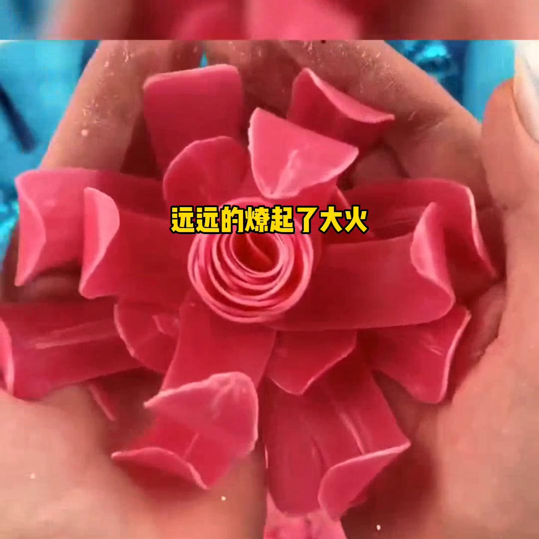 小说孽缘,小说推荐