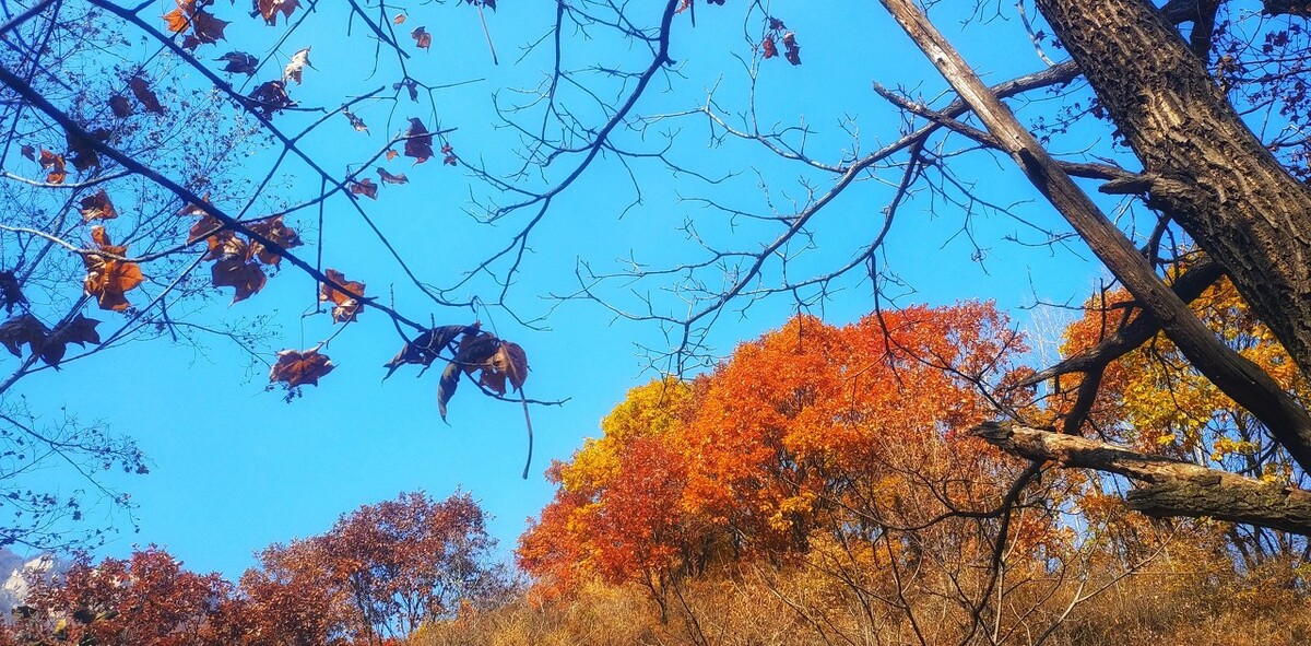 开卷有益读书好处多是谁说的,开卷有益阐明了读书的必要性