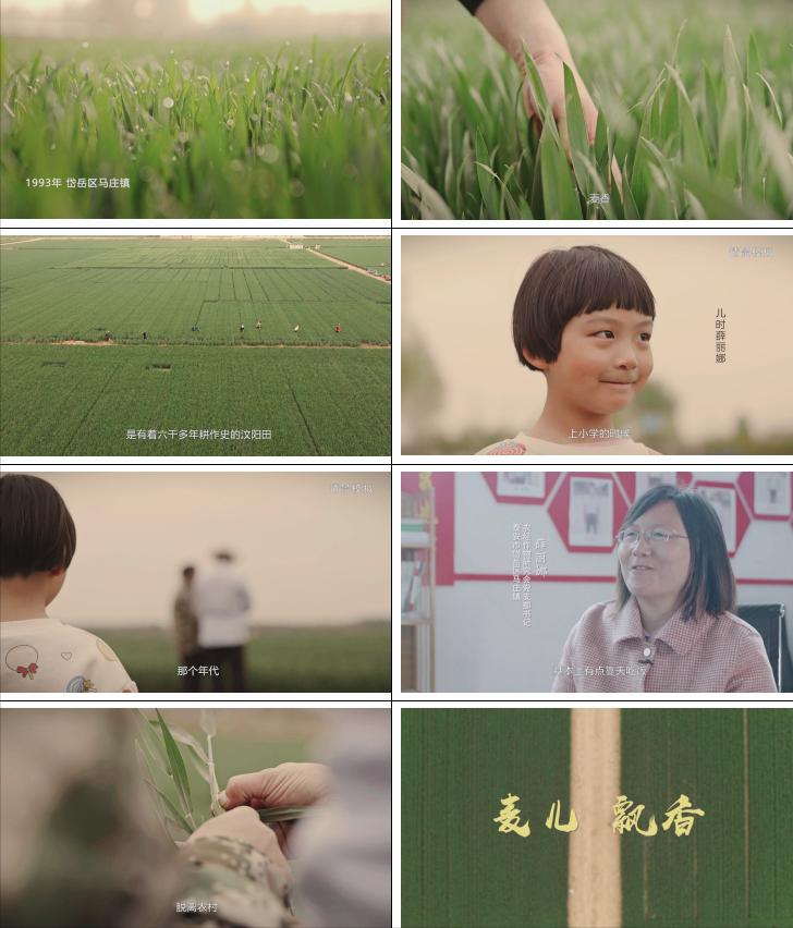 最优质的三农视频文案怎么写,三农视频热门文案素材