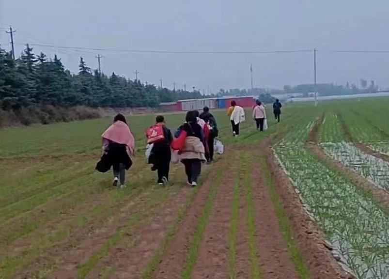 富士康有些职位没有晋升,富士康又忙了吗