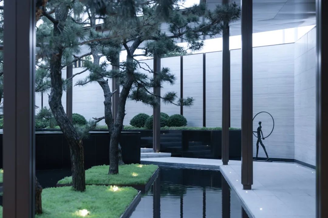 松树的文化内涵和精神品质,松树给人什么样的美感