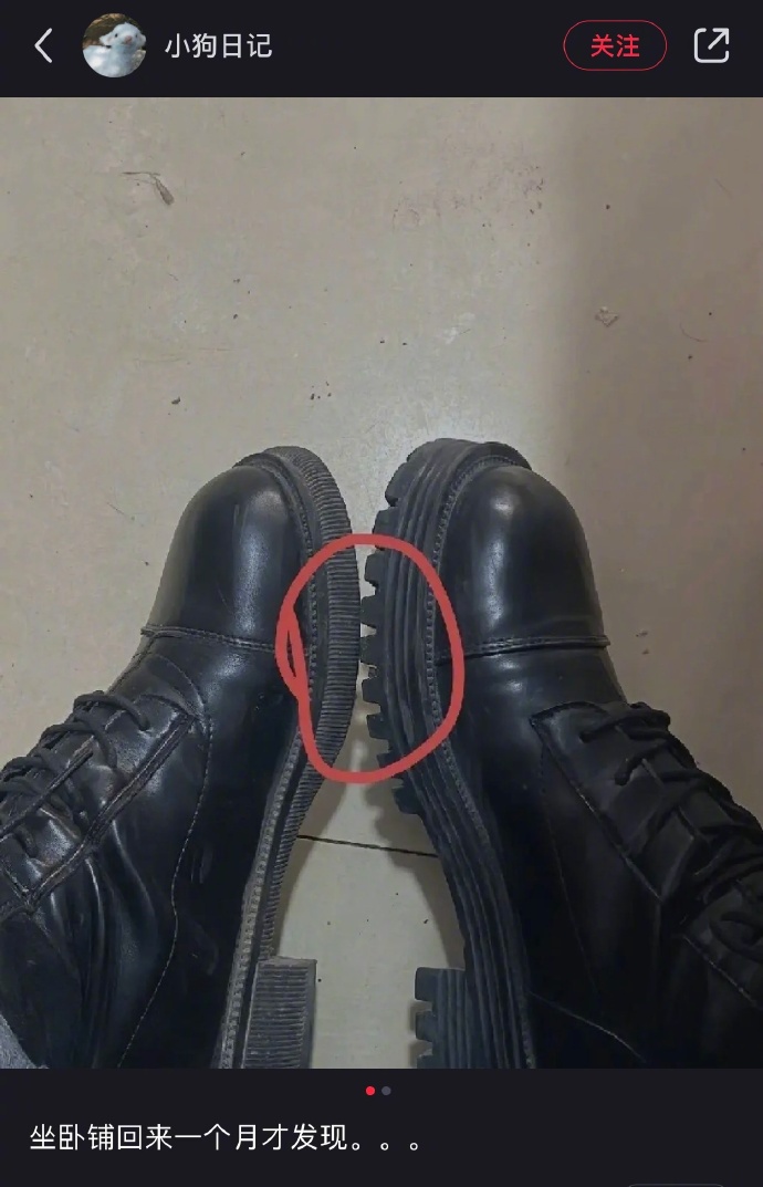 NO.3今日笑话不懂就问，老师的副业真都这么有趣吗