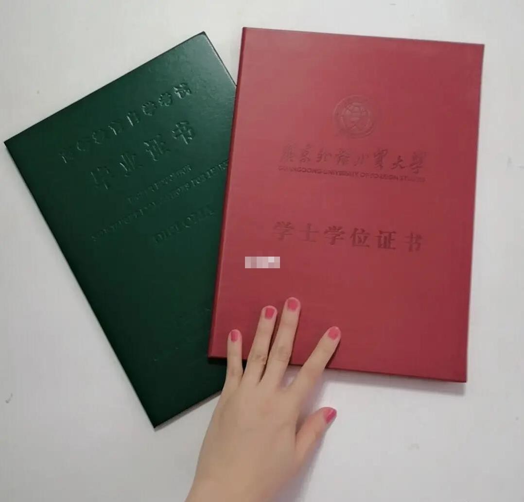 双专业和双学位哪个好,双学位专业出国读研