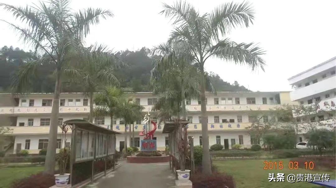 大鹏中心小学温逸宏,大鹏中心小学陈小波