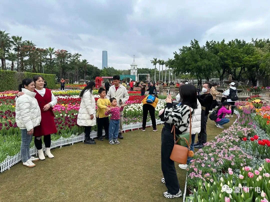 厦门人气旺旺旺,厦门人气高的自助