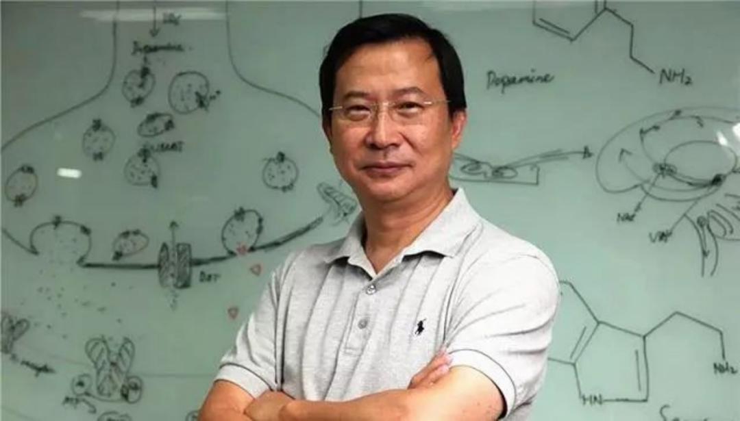 华大基因千亿市值,华大基因在同行业地位