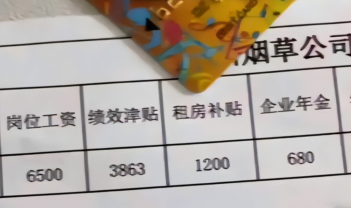 00后进入*草烟**后晒工资条，公积金数额“很亮眼”，说不羡慕是假的