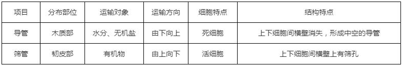 科学知识大全小学生必背,科学知识大全全集