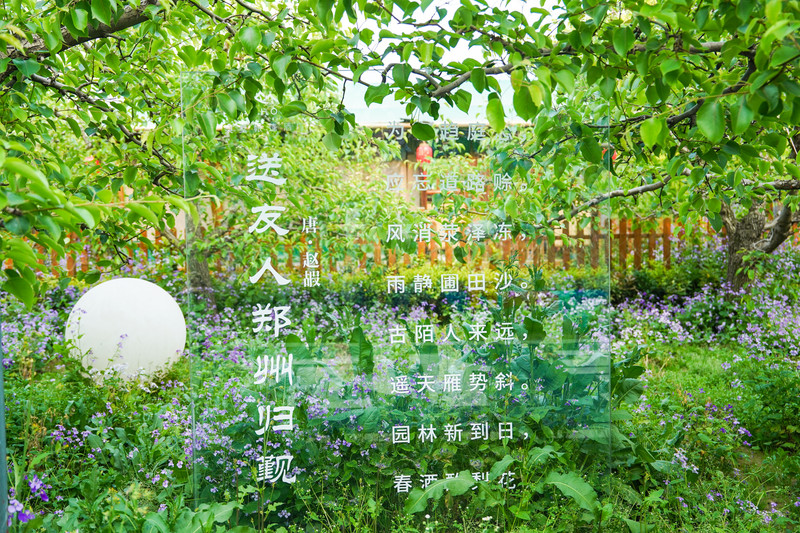 宿州两日游,宿州旅游攻略三日游