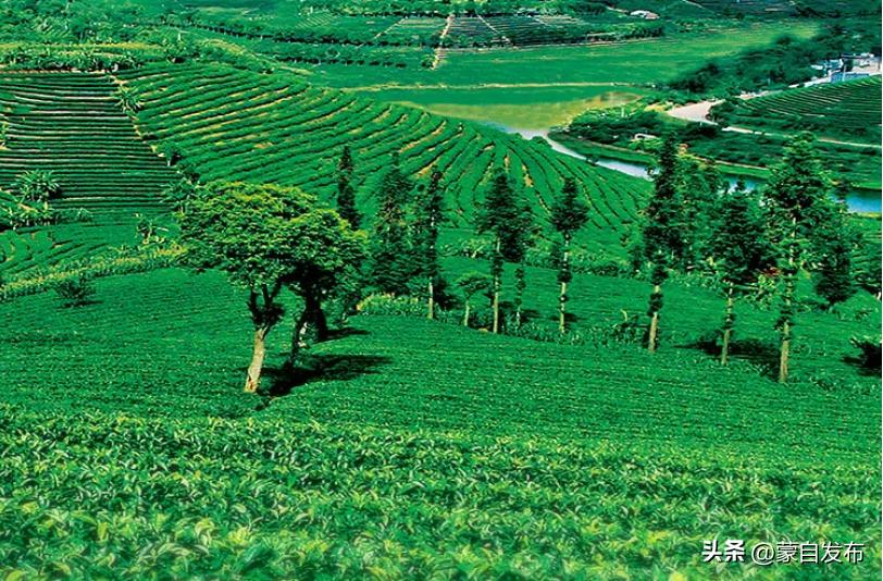 来云南品味有一种叫云南的生活,有一种生活叫做云南的生活