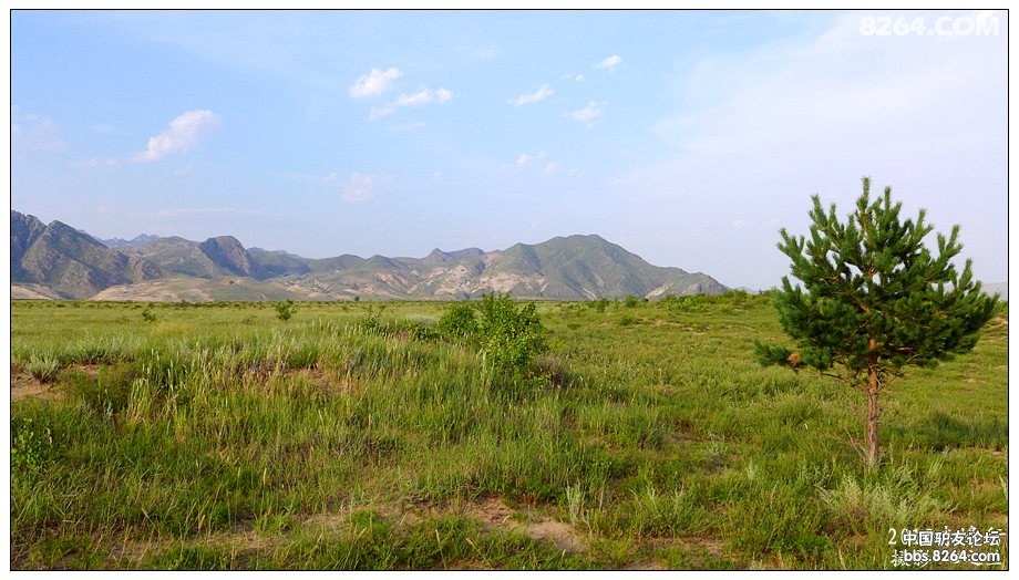 内蒙古自驾游达里诺尔,内蒙古达里诺尔湖旅游视频
