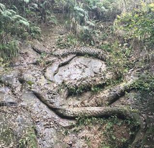 中国一省发现大宝藏,中国的巨型宝藏