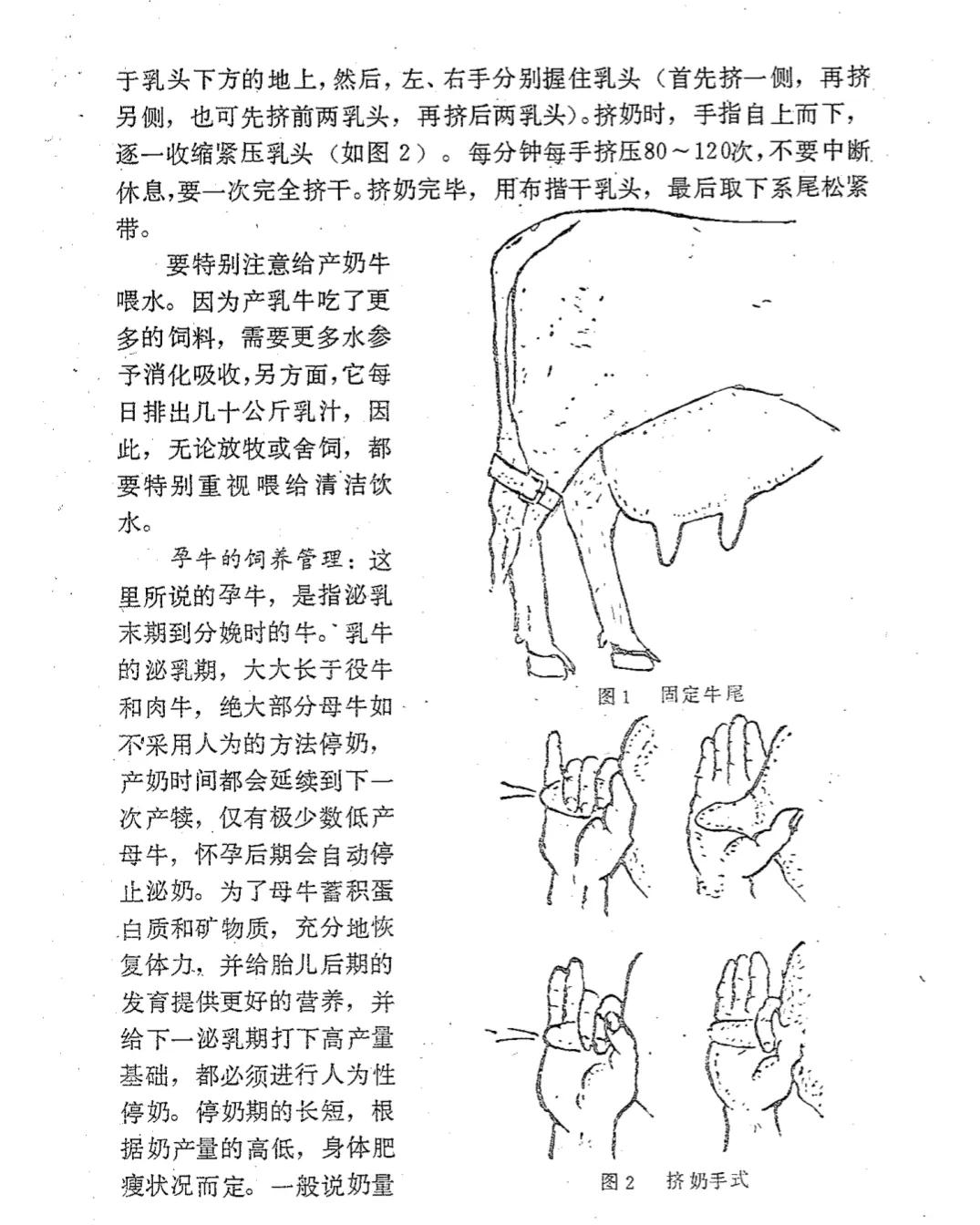农业知识之土壤生态,牛的饲养与管理视频