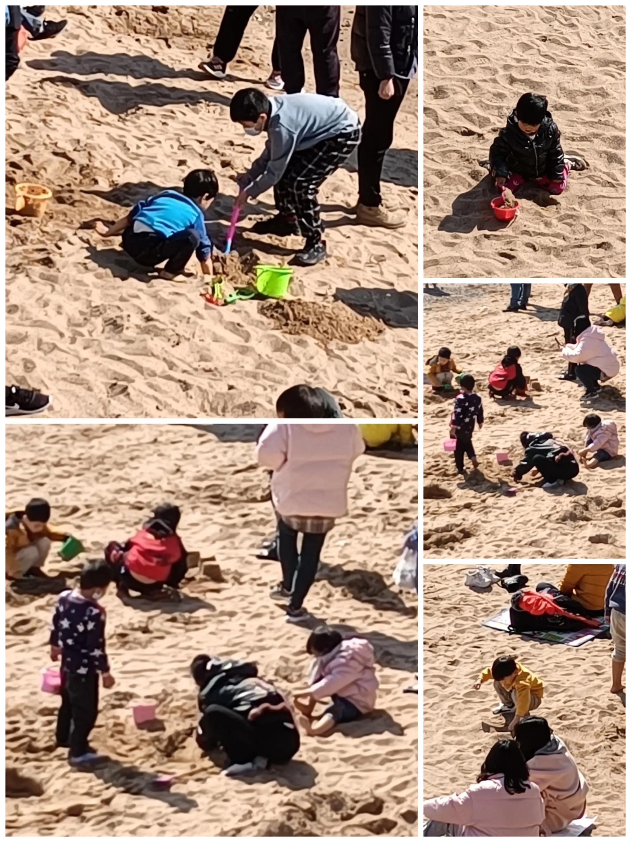 海鸥和海浪的声音,大海海浪海鸥视频