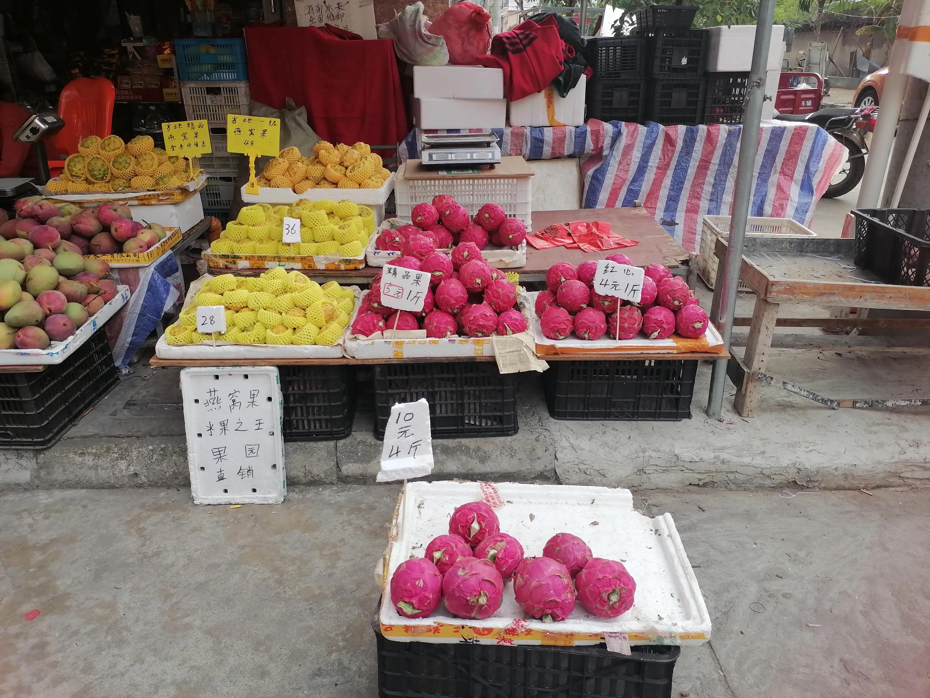 记录一下生活在乐东九所的吃住行