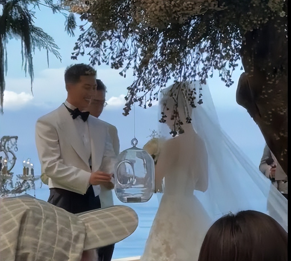 何超莲称婚礼是窦骁包办,何超莲窦骁婚礼获祝福