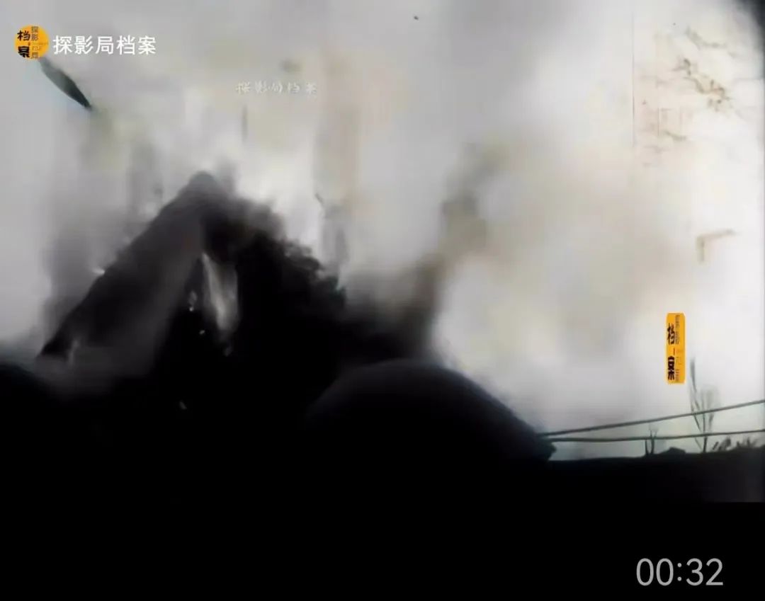 凤山下的红荼薇——记隐蔽战线上的白衣天使萧琼芝同志