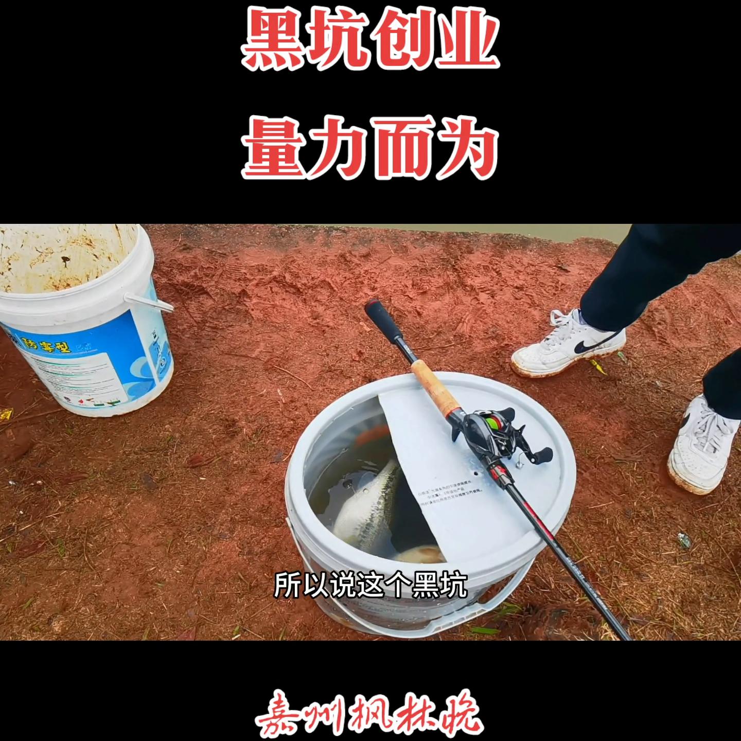 黑坑钓鱼创业视频,黑坑创业培训