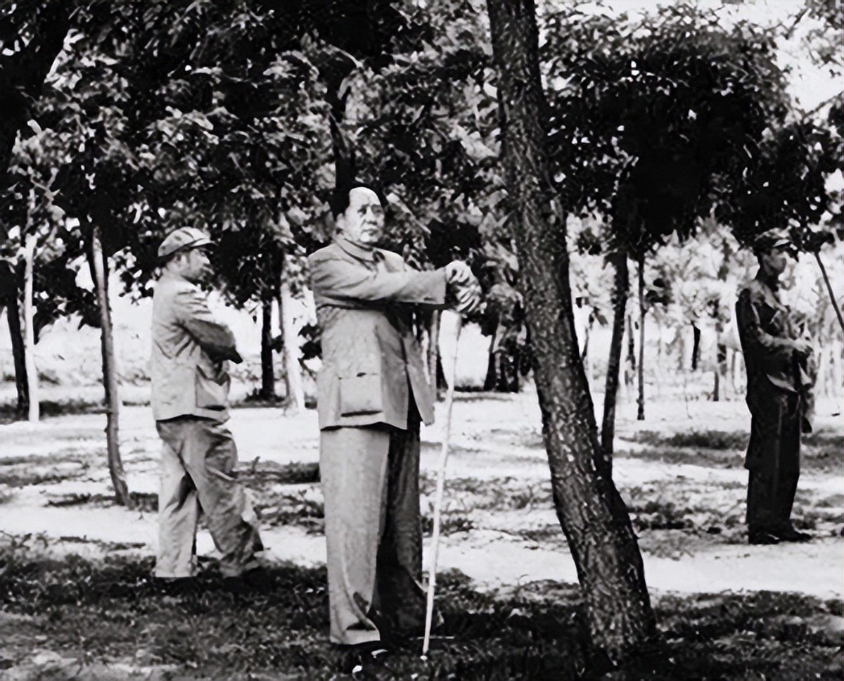 百年前,一位书生在山上写下一首诗,百年后,一代伟人在此诞生