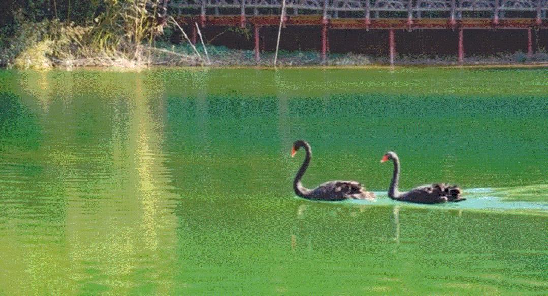 康保县五一哪里好玩,五一康县旅游景点大全