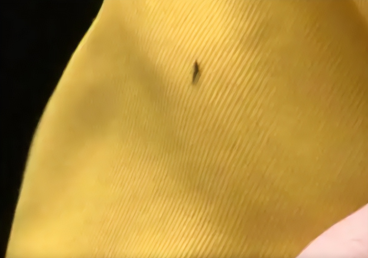 夏天给孩子穿衣服的小技巧,夏天给娃穿衣有讲究吗