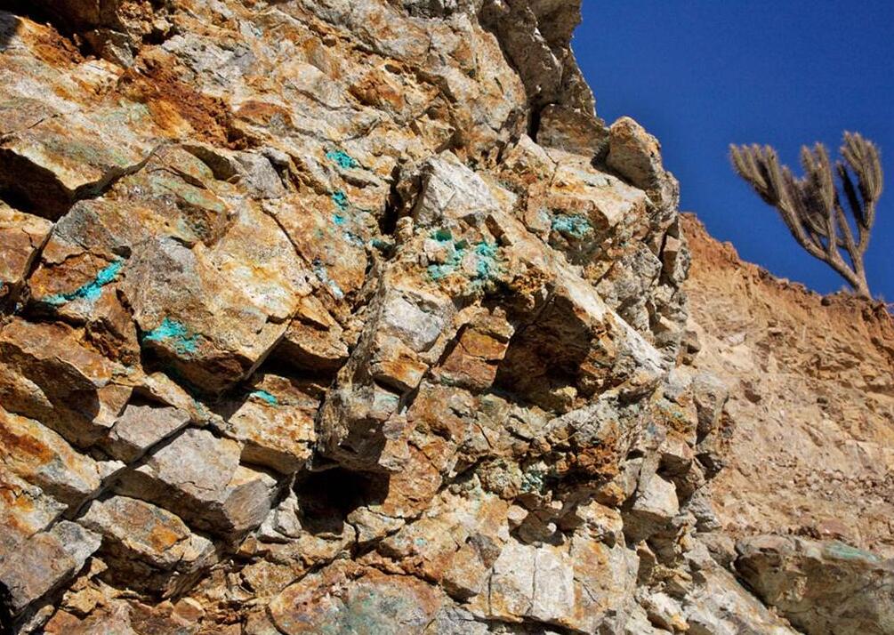 智利卡曼尼干红买一箱送一箱,智利干红葡萄酒购买