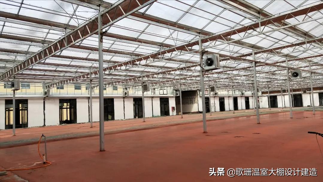 保温效果最好的温室大棚,高纬度冬暖式温室大棚