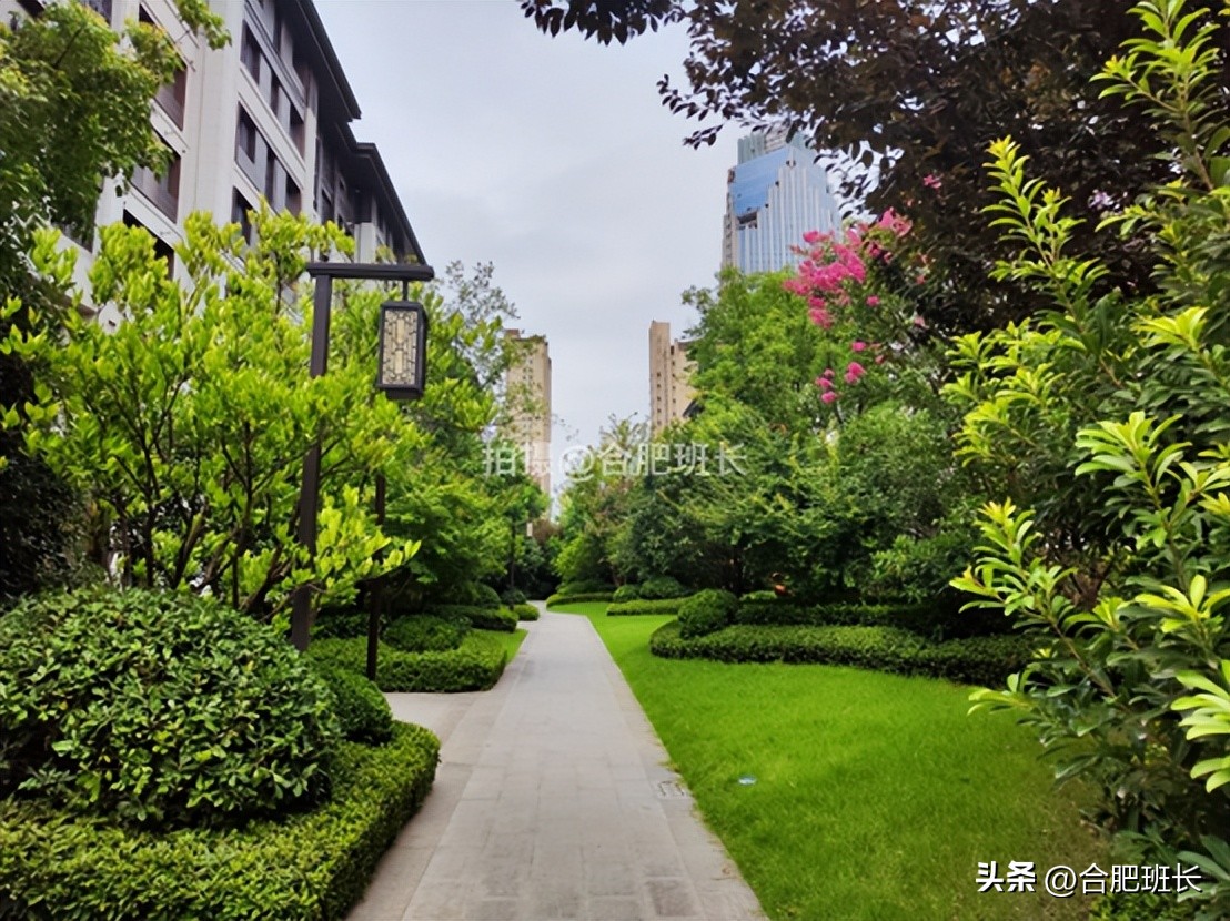 紧邻公园不如住在公园，实探以中式园林闻名的滨湖区葛洲坝紫郡府