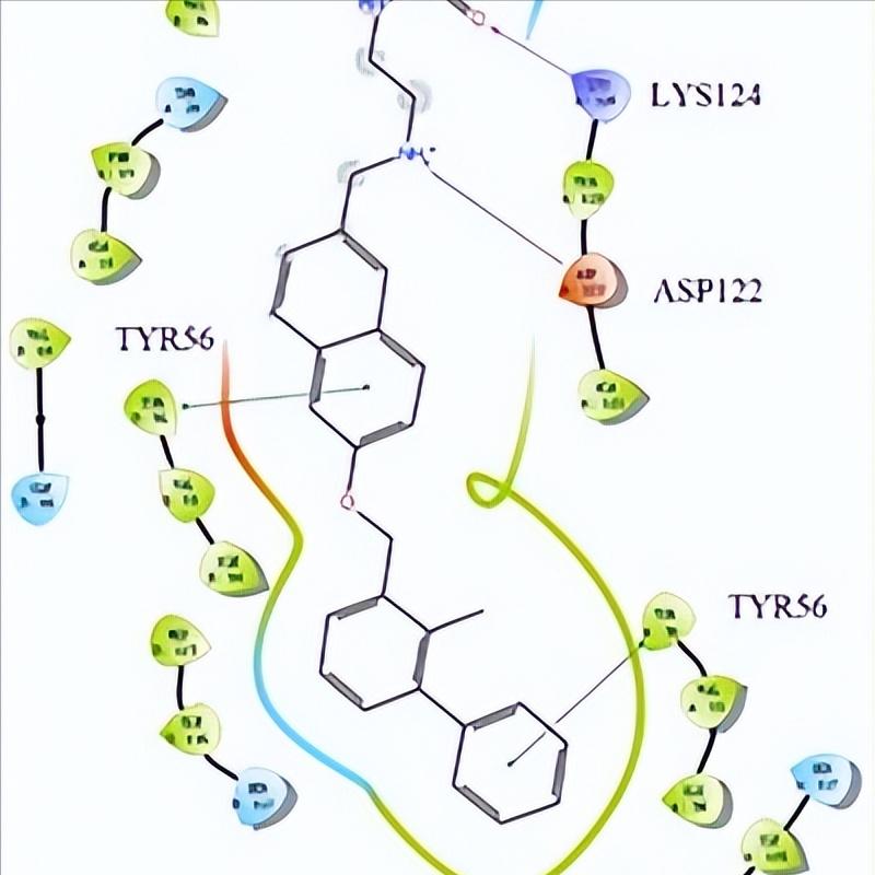 唾液酸与杜克雷嗜血杆菌周质结合蛋白之间相互作用的分子特征