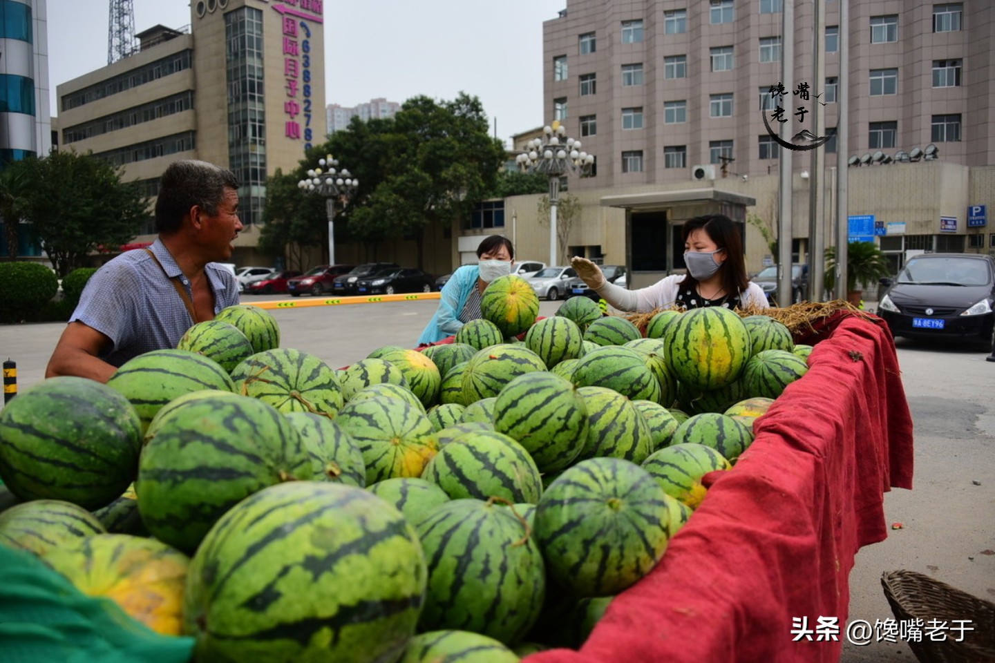 买西瓜要注意以下几点,买西瓜注意这几点