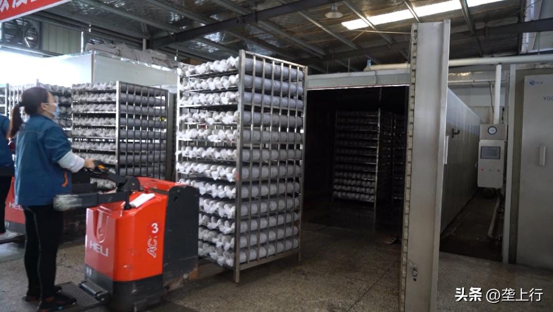 湖北香菇何以飘香天下？明天上午10点为你揭秘