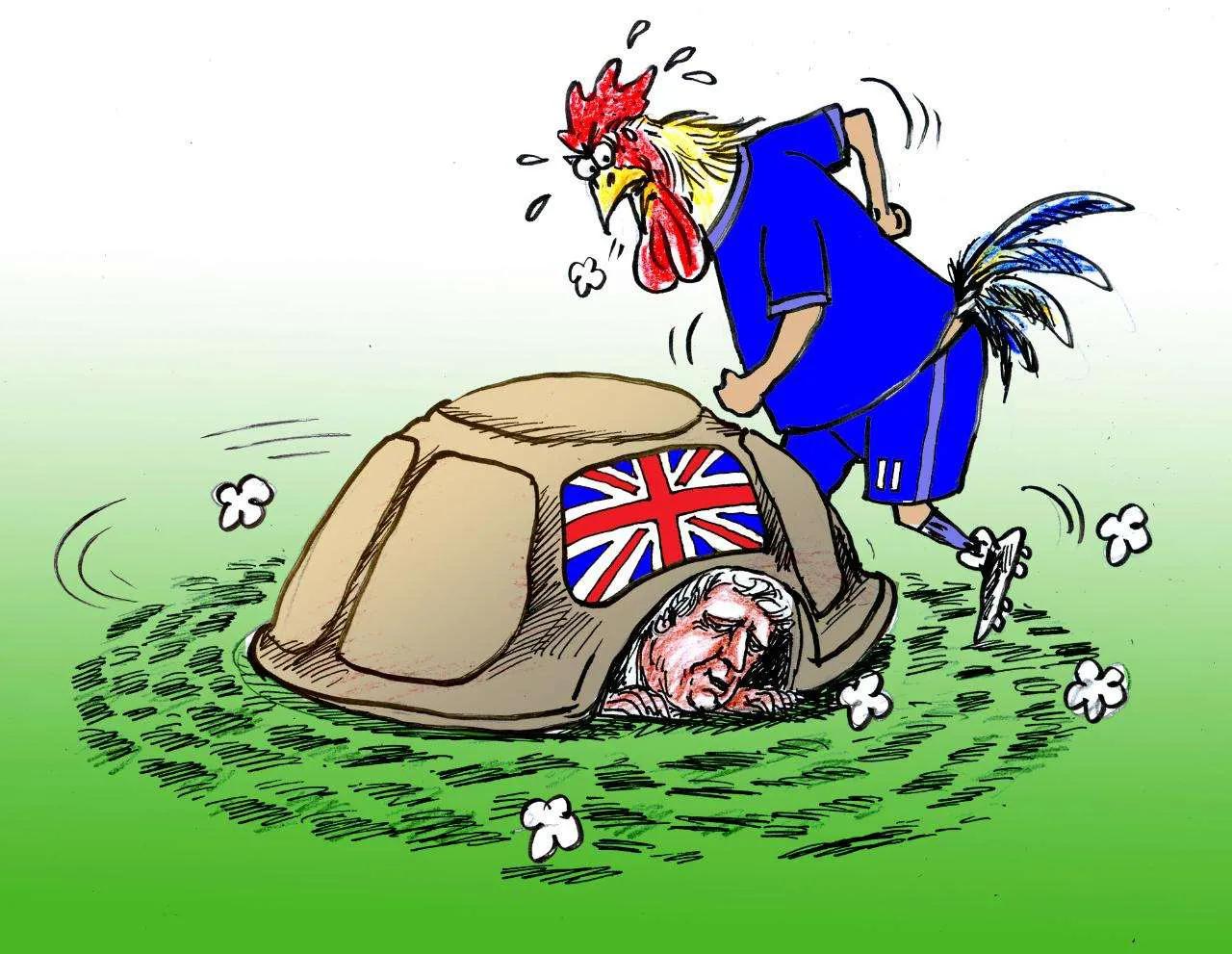 霉菌毒素对家禽养殖的危害,霉菌毒素对家禽的危害及防控措施